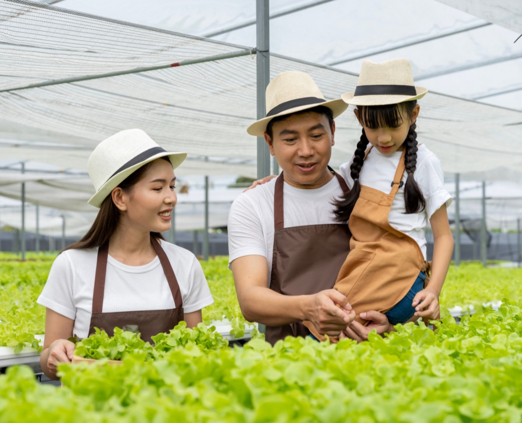 Serving premium organic products to families