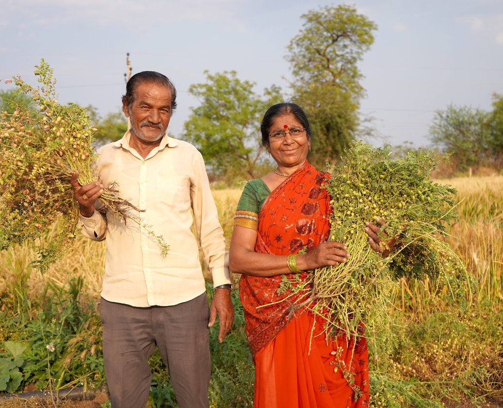 Fresh organic produce being delivered to households