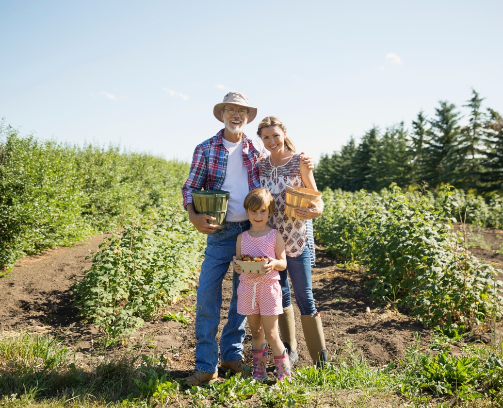 Premium agricultural products enriching family meals